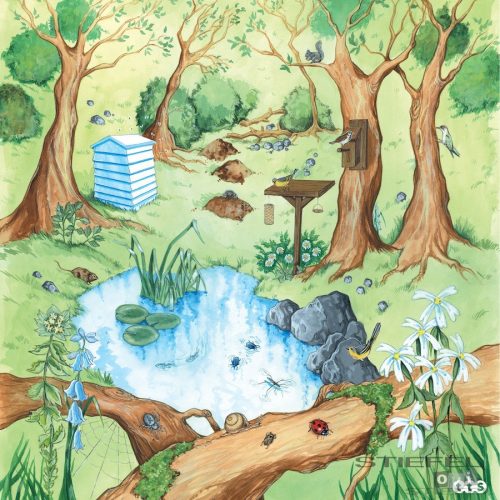 Covor de teren Pădure