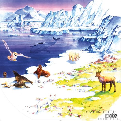 Covor de teren Polul Arctic