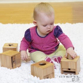 Jucărie de potrivire a formelor