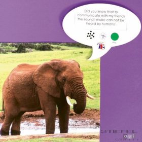 Voice Recorder Speech Bubble (3 buc)