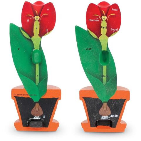 Floare din burete