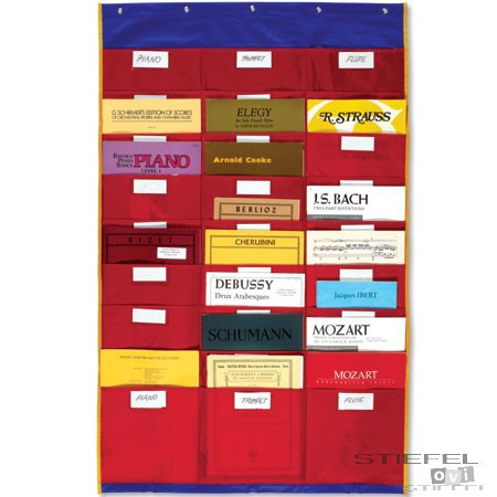 Panoul clasei organizate