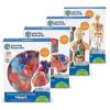 Set machete - Anatomie (4 piese)