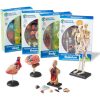 Set machete - Anatomie (4 piese)
