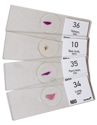 Set preparate Levenhuk N80 NG "See it all"