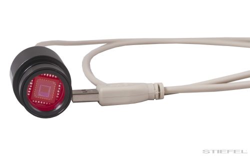 Levenhuk Rainbow D2L 0,3M microscop digital, Moonstone