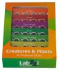 Levenhuk LabZZ CP24 Creaturi și plante - set de diapozitive pregătite