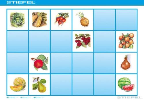 Pachet : Bee-Bot + 3 trasee  la alegere