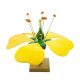 Model, floare tipică (dimensiune mare pe bază) 