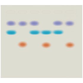   Kit de activități Edvotek - Al cui ADN a fost lăsat în urmă?