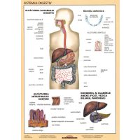 Biologie și anatomie