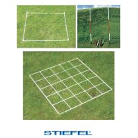 Eșantionarea pe teren