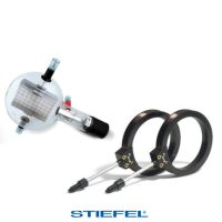 Particule subatomice