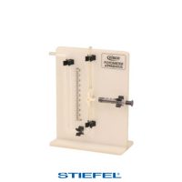 Fotosinteză și botanică